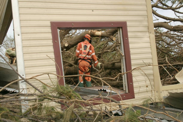 How Our Tree Care Process Works  in  Morada, CA